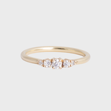 Izzy Ring Diamond - 14k yellow gold