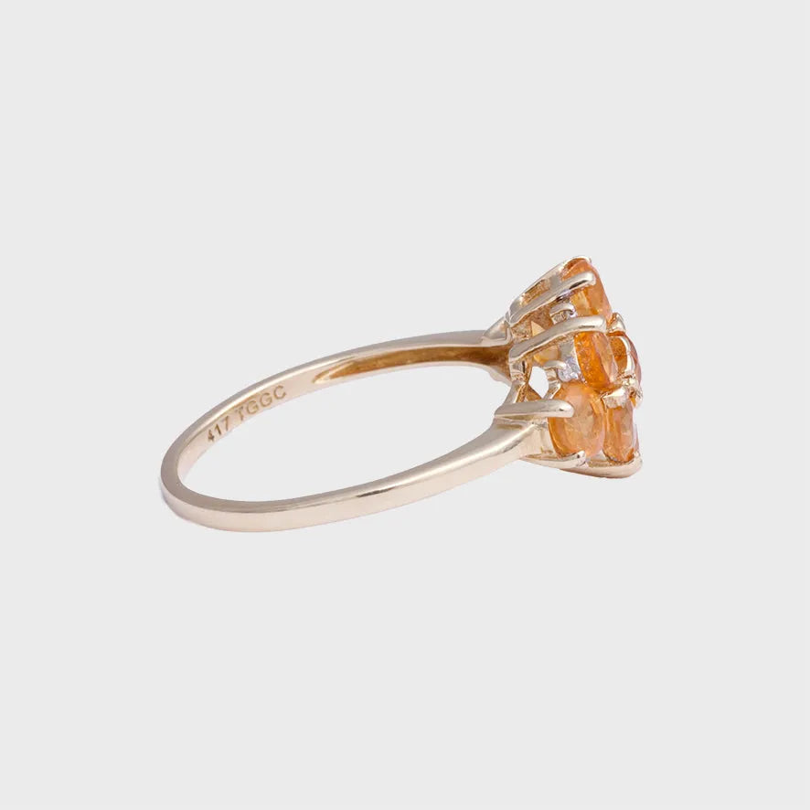 Isla - Vintage Spessartien Granaat & Diamant Cluster Ring 10k goud, Objet Dore