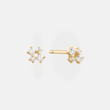 Cluster Diamant Oorbel 14k Goud
