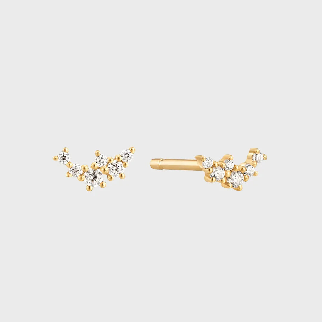 Wild Diamant Stud Conch Piercing 14k goud, Objet Dore