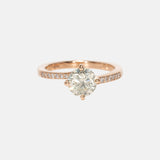 Diamant Solitaire Pave Ring 14 karaat goud
