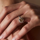 6.64ct Fancy Brown Diamant & Witte Diamant Entourage Ring 14 karaat goud